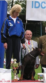 Dbermann Vize Weltmeister