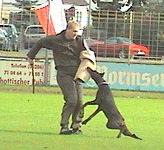 Ingo von Bayern