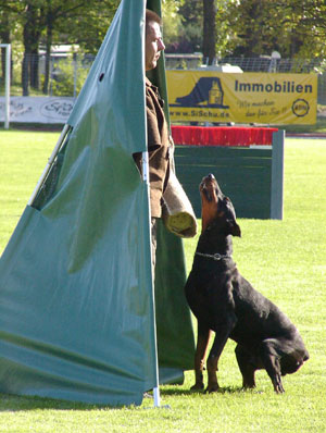 Ingo v. Bayern