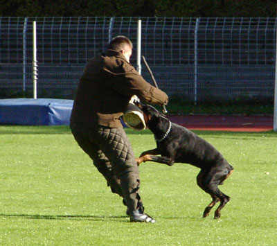 Jano v. Bayern