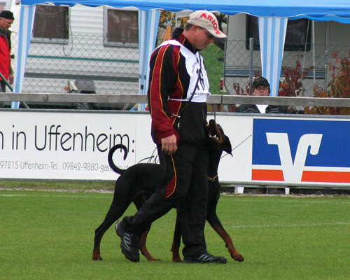 Frank Steiner mit Devil vom Suedharz