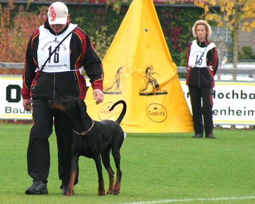 Frank Steiner mit Devil vom Suedharz