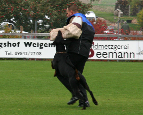 Frank Steiner mit Devil vom Suedharz