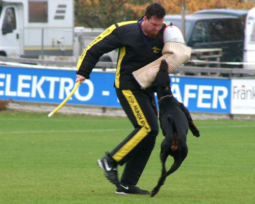 Frank Steiner mit Devil vom Suedharz