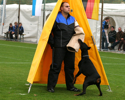 Josh vom Edertal mit Ralf  Wiewel