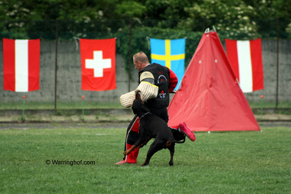 Comet vom Burghof