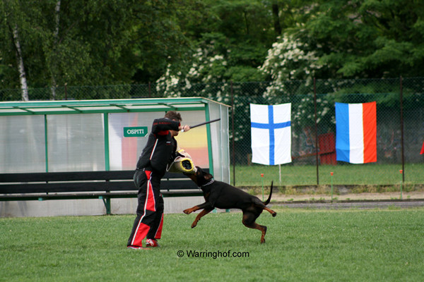 Comet vom Burghof