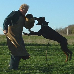 T'Azazel del Ultrachien 