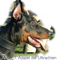 T'Azazel del Ultrachien