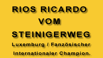 RIOS RICARDO vom STEINIGERWEG